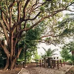 Apart-hotel Old Stone House