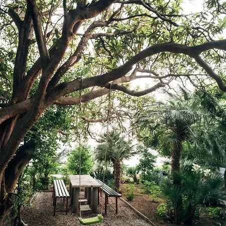 Old Stone House Appart hôtel Mlini